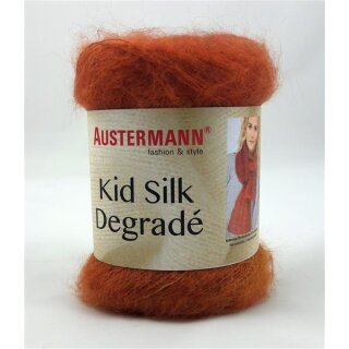 Kid Silk Degradé 106 silber