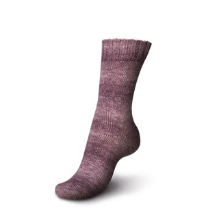 Regia PREMIUM Silk Color 4-fädig / 4-ply 45 feige color