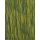 Last Minute Jacke EASY KNITS  (Materialset) 36/38 12 oliv bicolor