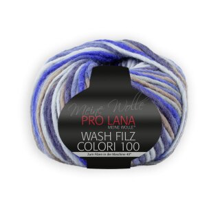 Wash Filz Colori 100 701