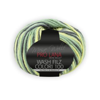 Wash Filz Colori 100 702