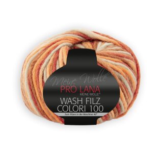 Wash Filz Colori 100 704