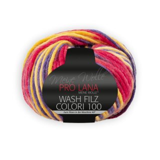 Wash Filz Colori 100 705