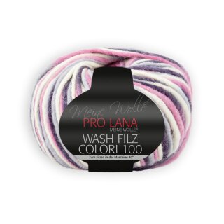 Wash Filz Colori 100 706