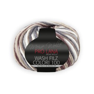 Wash Filz Colori 100 707