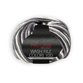 Wash Filz Colori 100 708