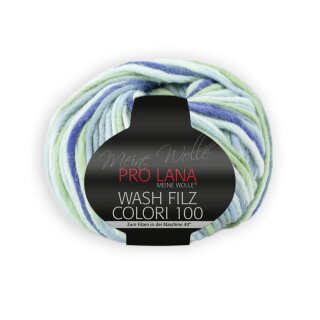 Wash Filz Colori 100 709