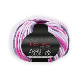 Wash Filz Colori 100 710