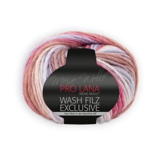 Wash Filz Exclusive 03
