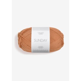 SUNDAY 2534 fudge
