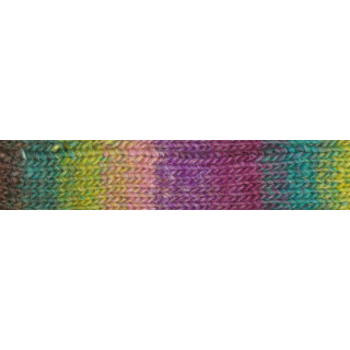 Silk Garden Sock Yarn S454 Arida