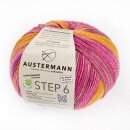 STEP 6 Irish Rainbow 733 achat