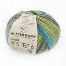 STEP 6 Irish Rainbow 733 achat