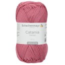 Catania Trend 2022 502 Hortensie