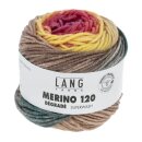 MERINO 120 D&Eacute;GRAD&Eacute; Superwash