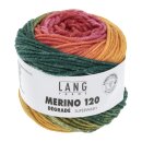 MERINO 120 D&Eacute;GRAD&Eacute; Superwash