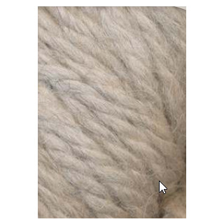 HERRIOT GREAT 102 Oyster Mushroom