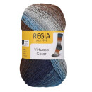 REGIA 6-fädig Virtuoso Color 03075 pale summer day