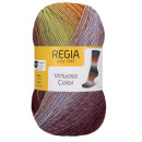 REGIA 6-fädig Virtuoso Color 03075 pale summer day