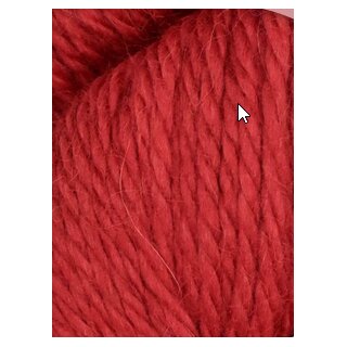 HERRIOT GREAT 160 Poinsettia