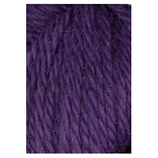 HERRIOT GREAT 161 Eggplant