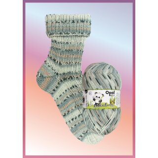 Opal Sockenwolle 6-fach Knuddelbande  11327 Zauberpanda