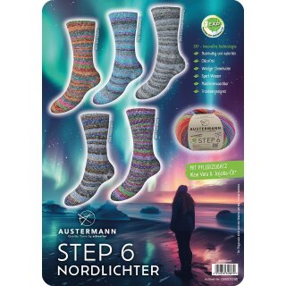 Step 6 Nordlichter