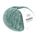 PHOENIX 1107.0172 aqua chante claire