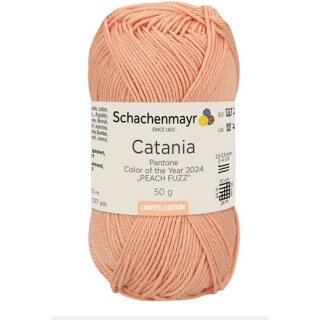2024 Pantone Color of the Year 2024 "PEACH FUZZ"