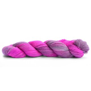 870 Dragonfruit Sorbet