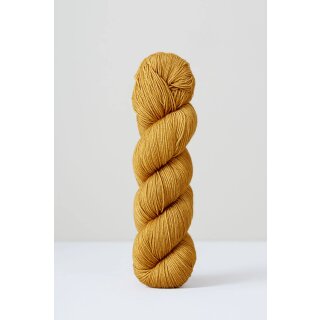 Acorn