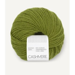 9564 matcha