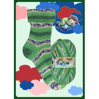 11642 Mondscheinpicknick