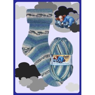 11645 Sonnenbaden im Allgäu