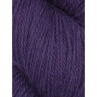 13 Elderberry